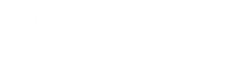 ay caribe logo